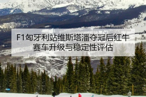 xiong-ya-li-zhan-wei-si-ta-pan-duo-guan-hou-hong-niu-sai-che-sheng-ji-yu-wen-ding-xing-ping-gu-3-259.jpg